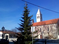 POSTAVLJENA BOŽIĆNA JELKA