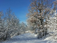 NOVA GODINA ODMAH OBUKLA ZIMSKU ODJEĆU